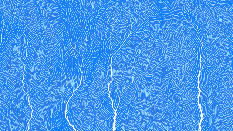 new roots – viering geloven in spangen 22 januari 2023